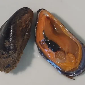 Cozze pelose