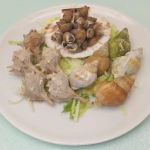 Misto lumache di mare