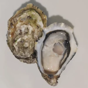 Ostriche concave Tsarskaya, la perla degli zar