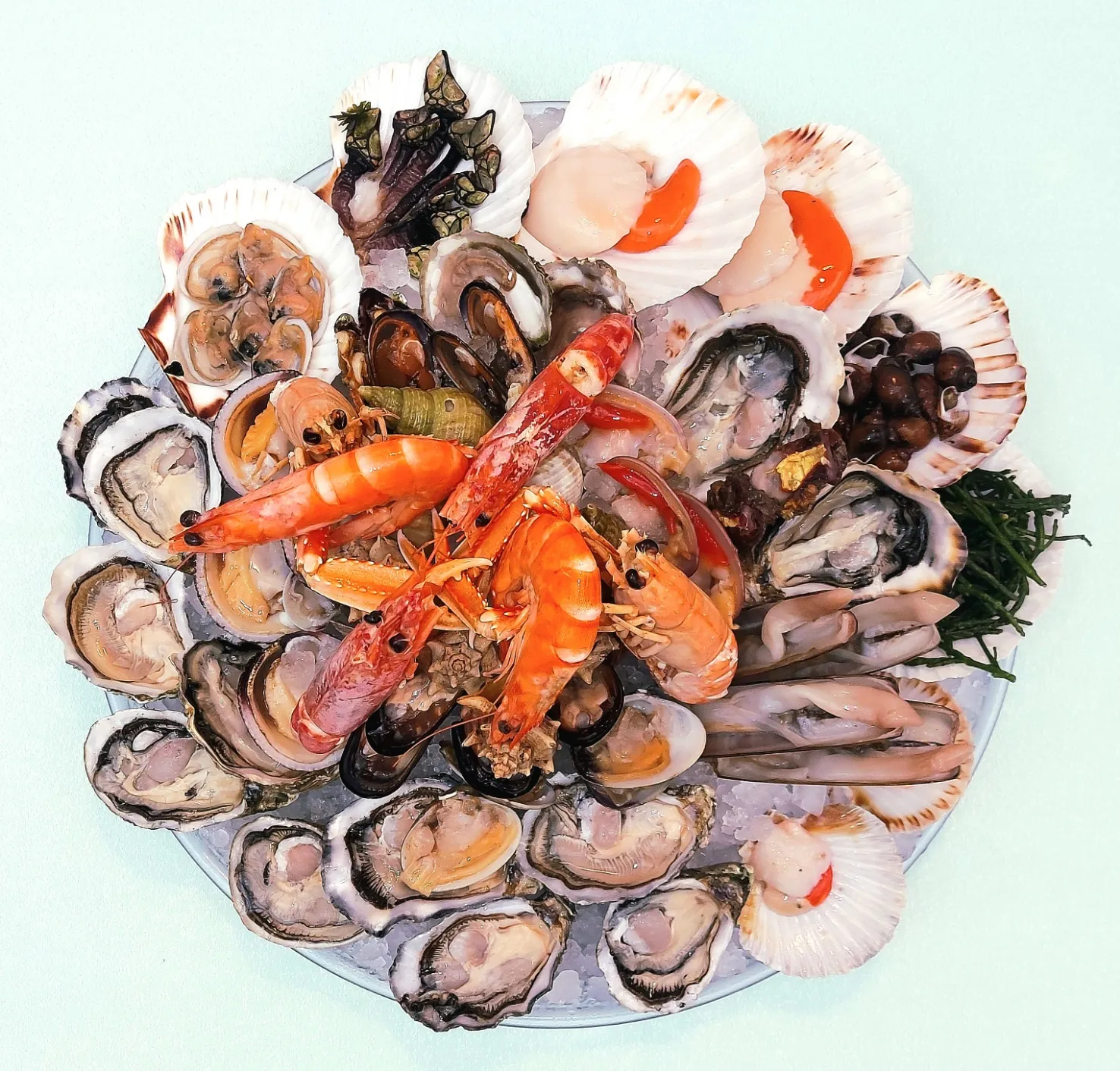 Plateau Royal da Due